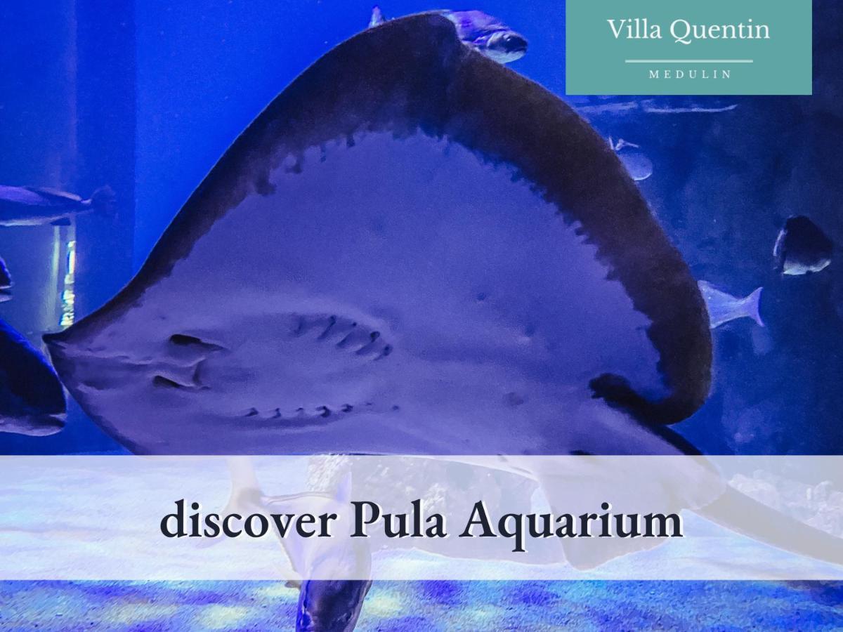 Villa Quentin - Quiet Place Close To Beach 메덜린 외부 사진